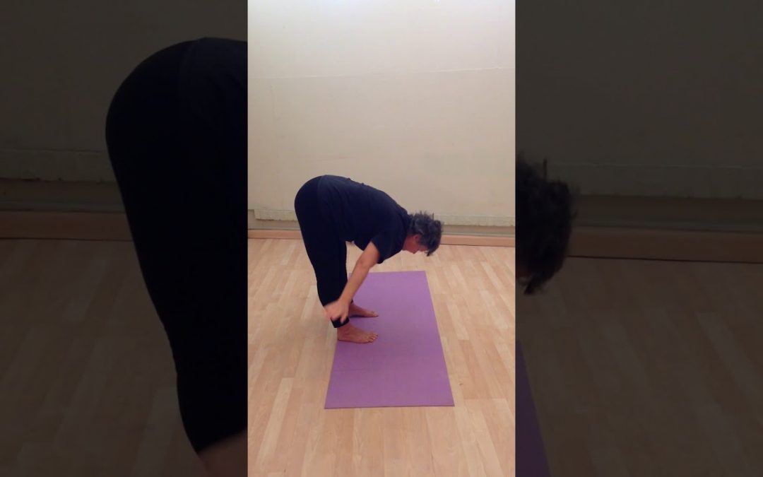 Swan Dive Fold